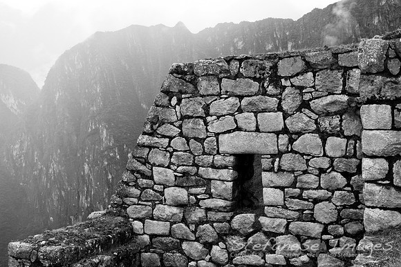 Window to the Fog