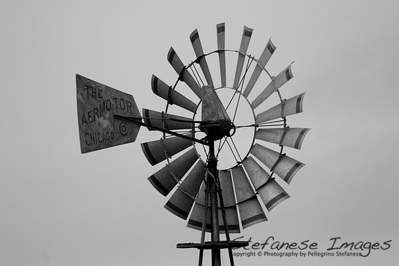 Wind Mill -Estero Bay, CA