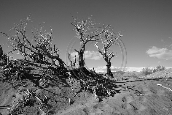 Buried