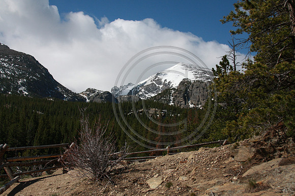 Rocky Mountain