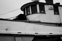 Dry Dock