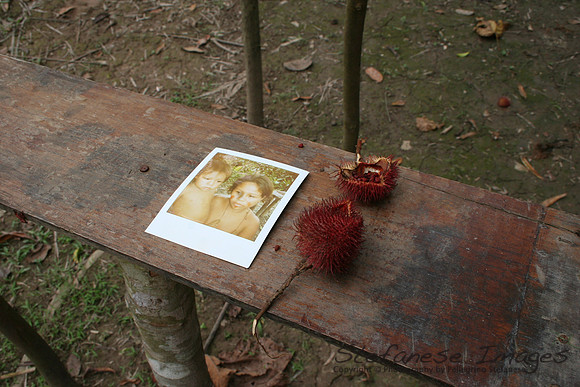 Yagua Achiote