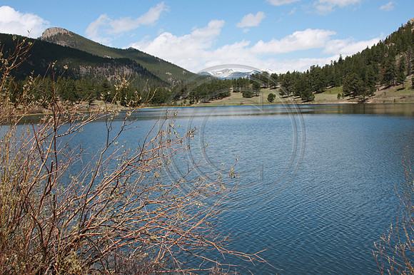 Lilly Lake