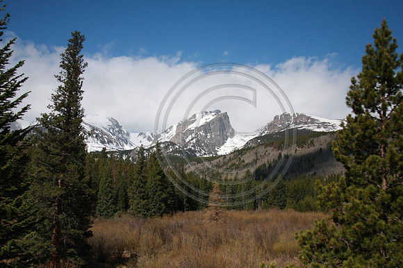 Rocky Mountain