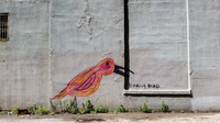 Early Bird