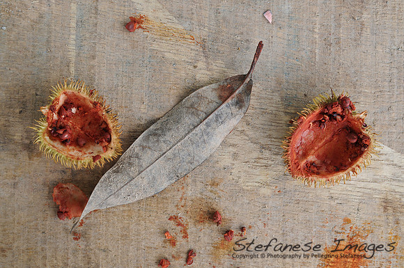 Achiote 2011